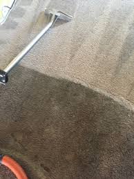 carpet_cleaners_auckland